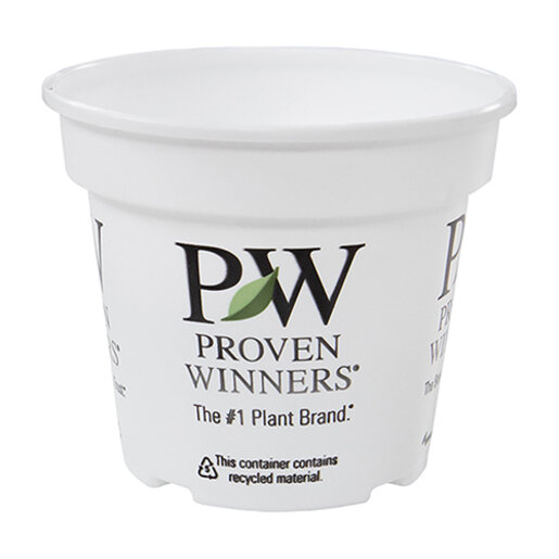 Pot Proven Winner 4-1/2 in | SiteOne US
